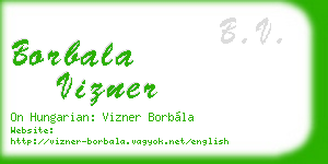borbala vizner business card